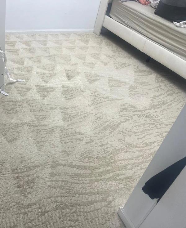 Commercial carpet after professional extraction cleaning
